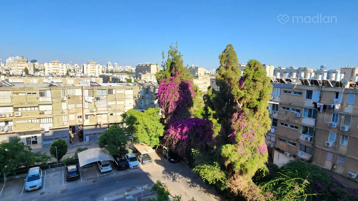 רזיאל 27