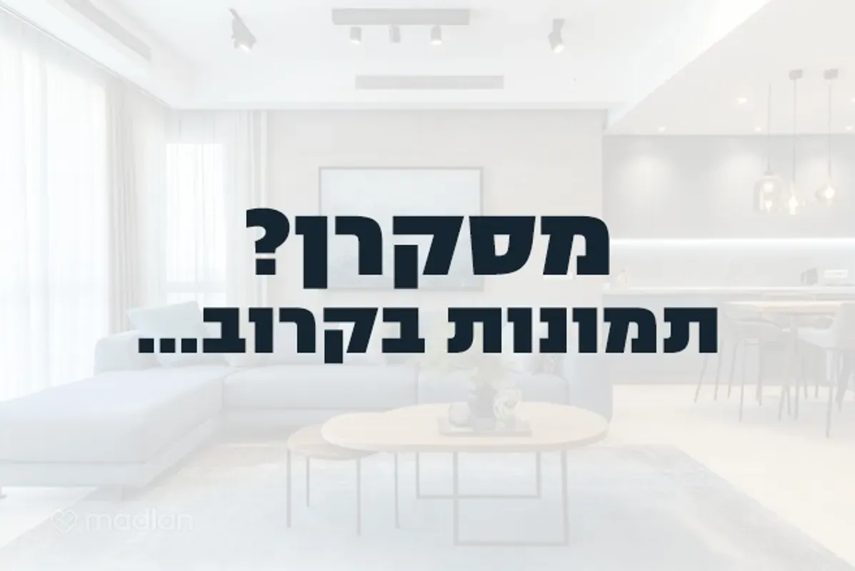 הצופים 23
