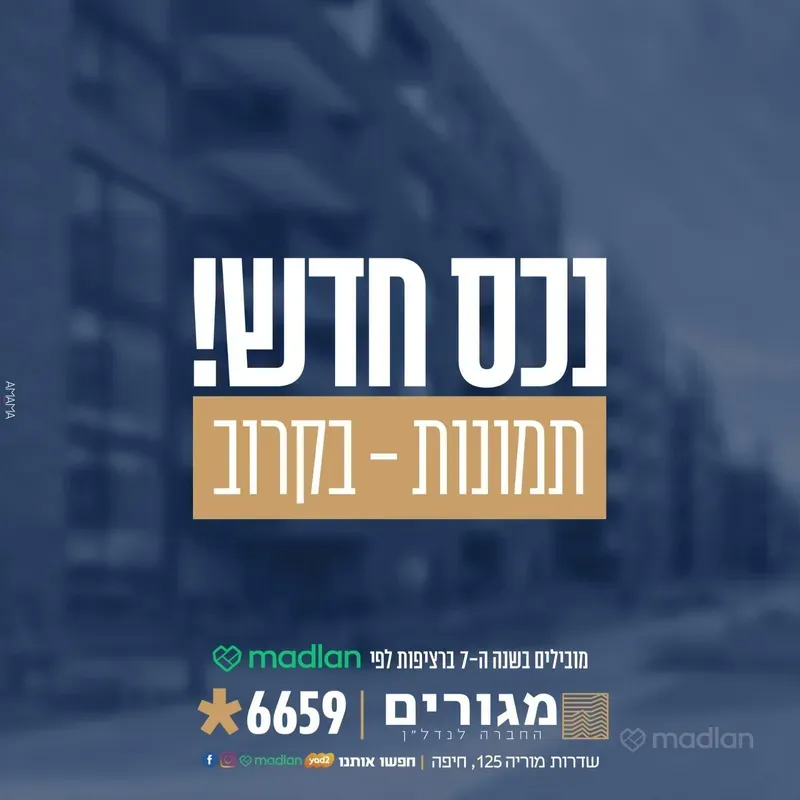 שי עגנון 18