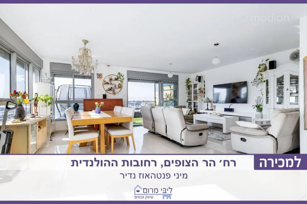 הר הצופים 31