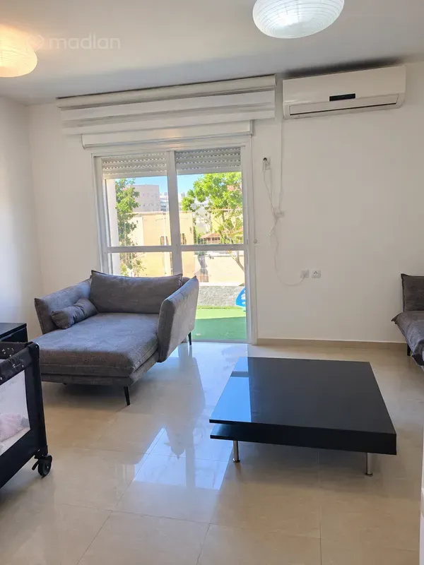 זאב שרף 36