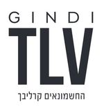 מגדלי גינדי תל אביב - אינדקס יזמי נדל״ן של מדלן