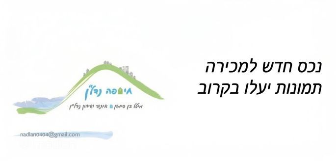 ליסין 7, חיפה