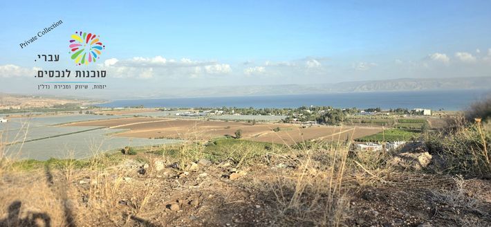 האלון 10, מגדל