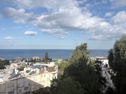 סטפן וייז 13, חיפה