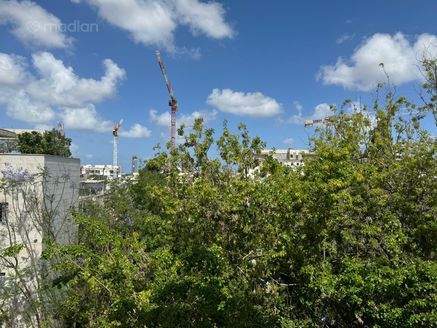 נעמי 1, רמת השרון