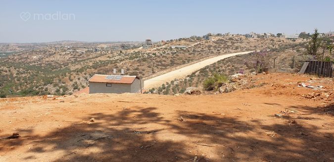 הארז 1, עץ אפרים