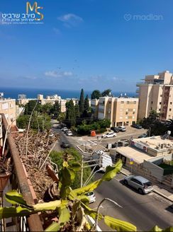 התמר 32, חיפה