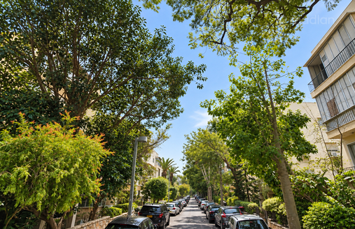 אלכסנדר ינאי 30, תל אביב יפו