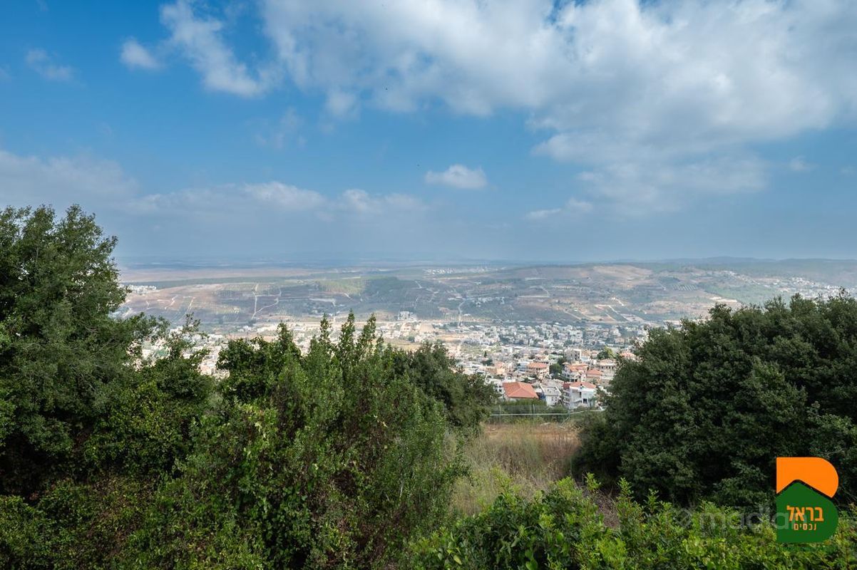 המורג 38, , קציר