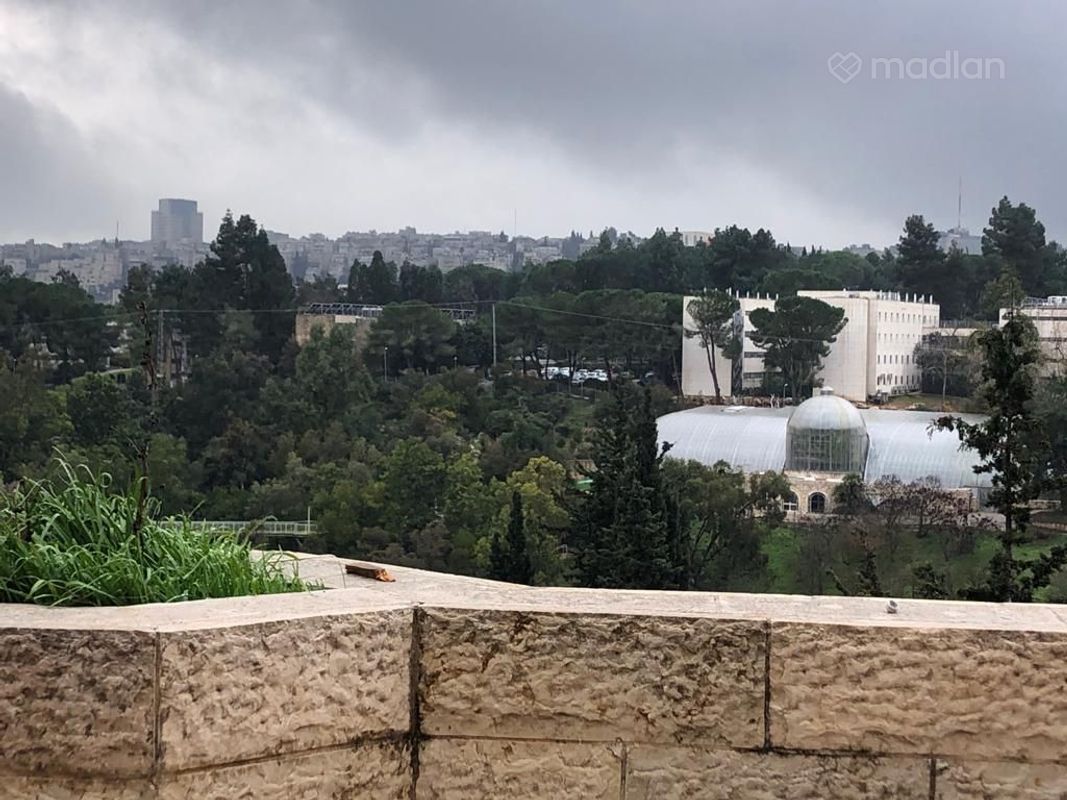 י צ מיכאלסון , ניות, ירושלים