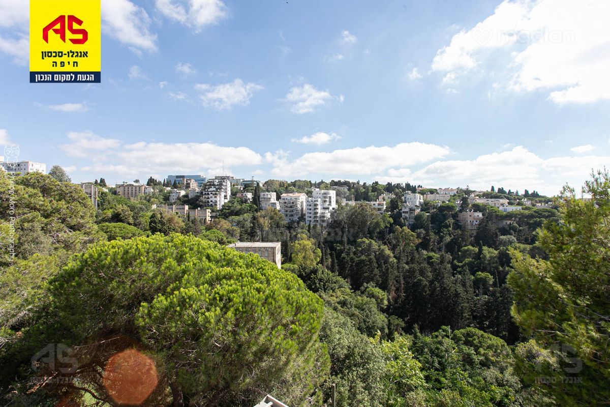 התשבי 118, כרמל צפוני, חיפה