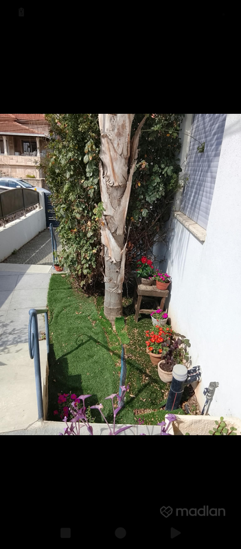 תירוש 6, נווה שרת, זכרון יעקב