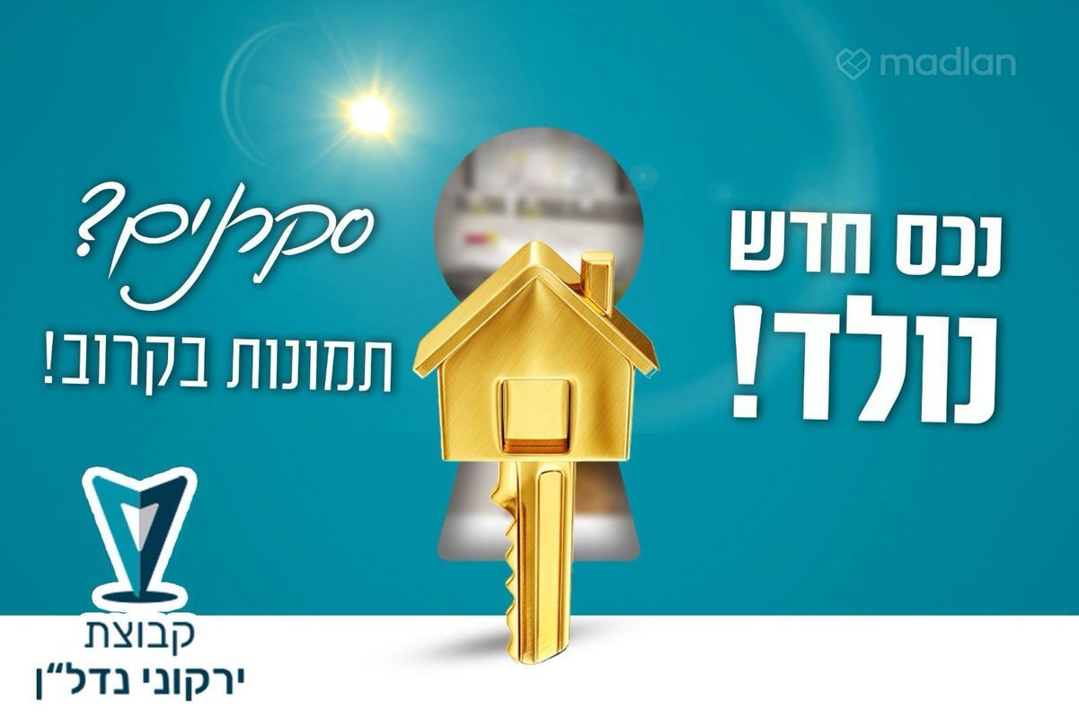 זית , מרכז העיר, קרית ביאליק