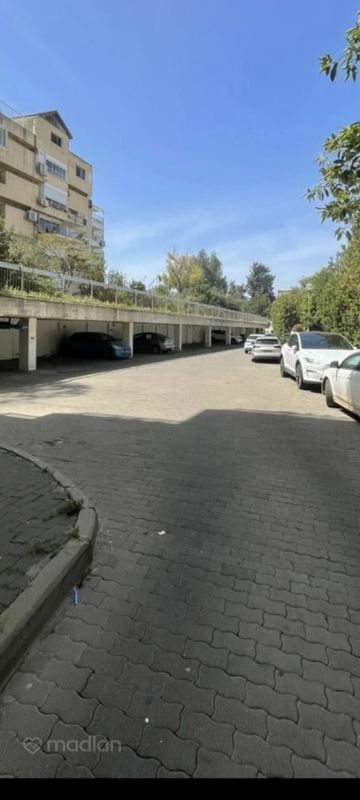 סטפן וייז , רמת שאול, חיפה