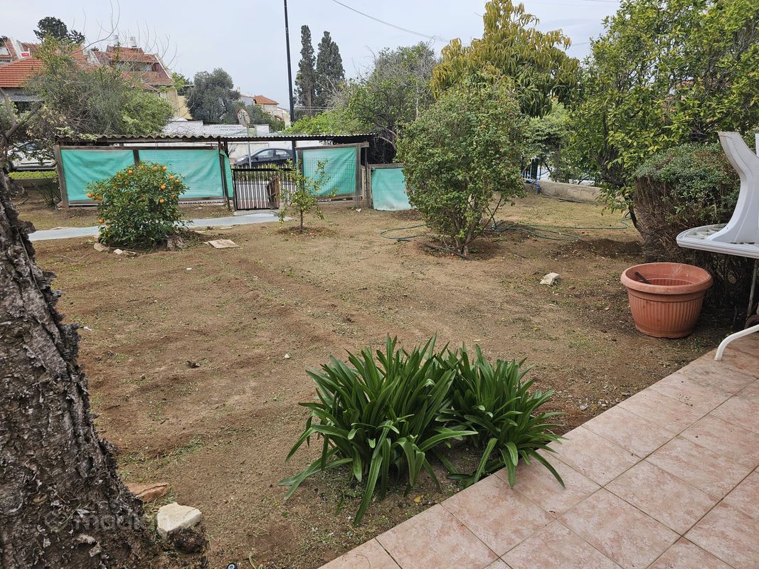 טשרניחובסקי 82, מרכז העיר, רחובות