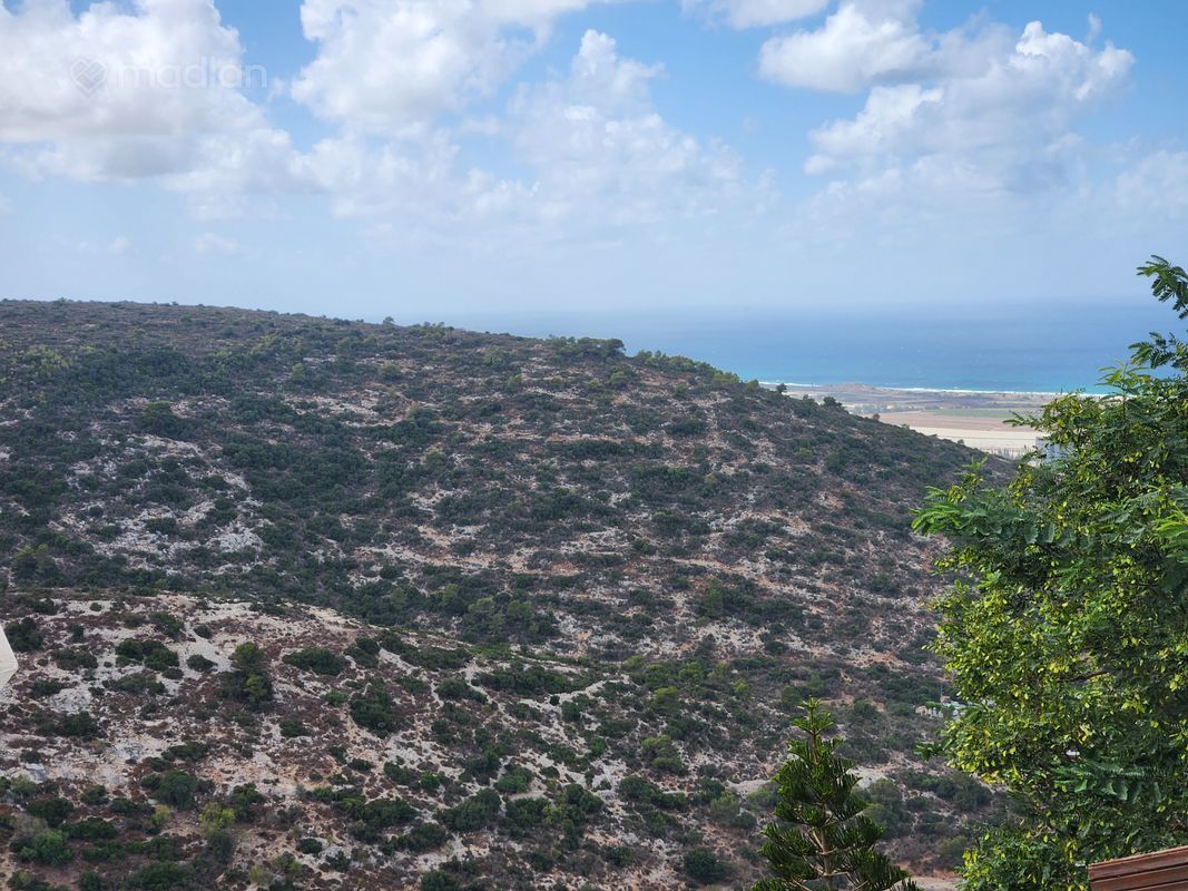 דניה, חיפה