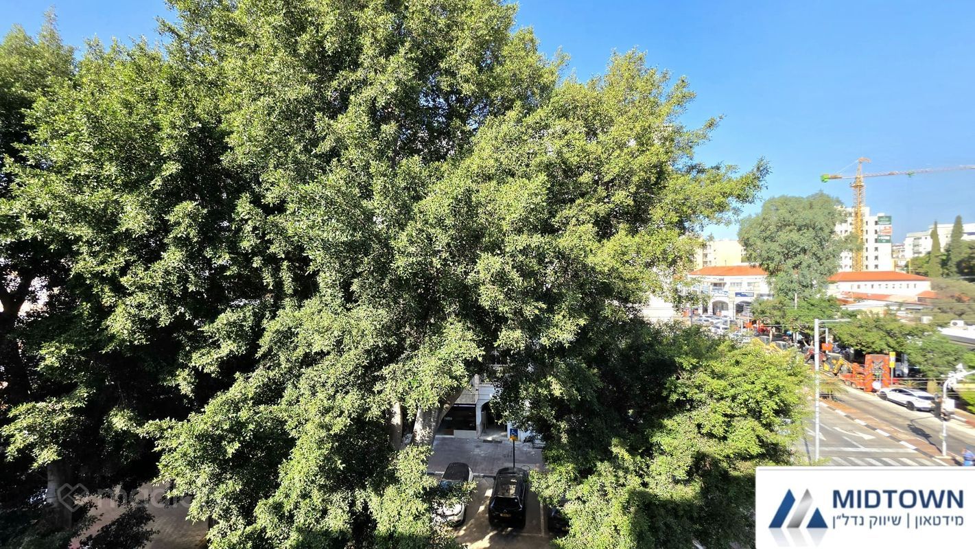 הרצל 44, מרכז העיר דרום, כפר סבא