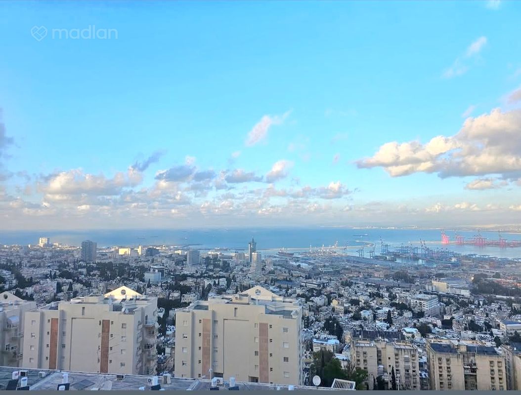חנה סנש , רמת הדר, חיפה