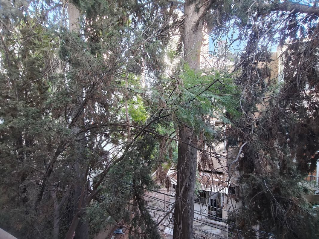 שכונת הראשונים, רמת גן