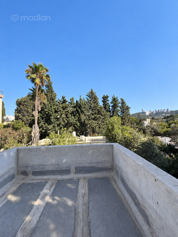 ציון , נוה שאנן, חיפה