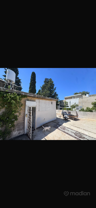 פבזנר 19, הדר הכרמל, חיפה