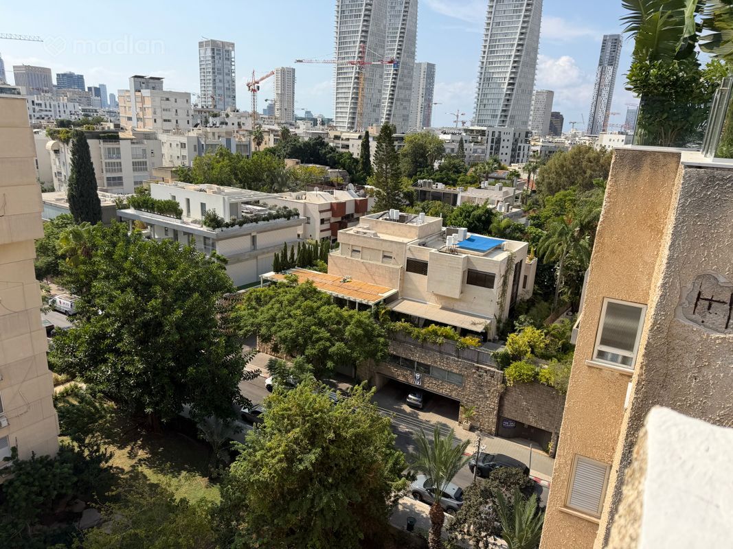 אהבת ציון , הצפון החדש סביבת כיכר המדינה, תל אביב יפו