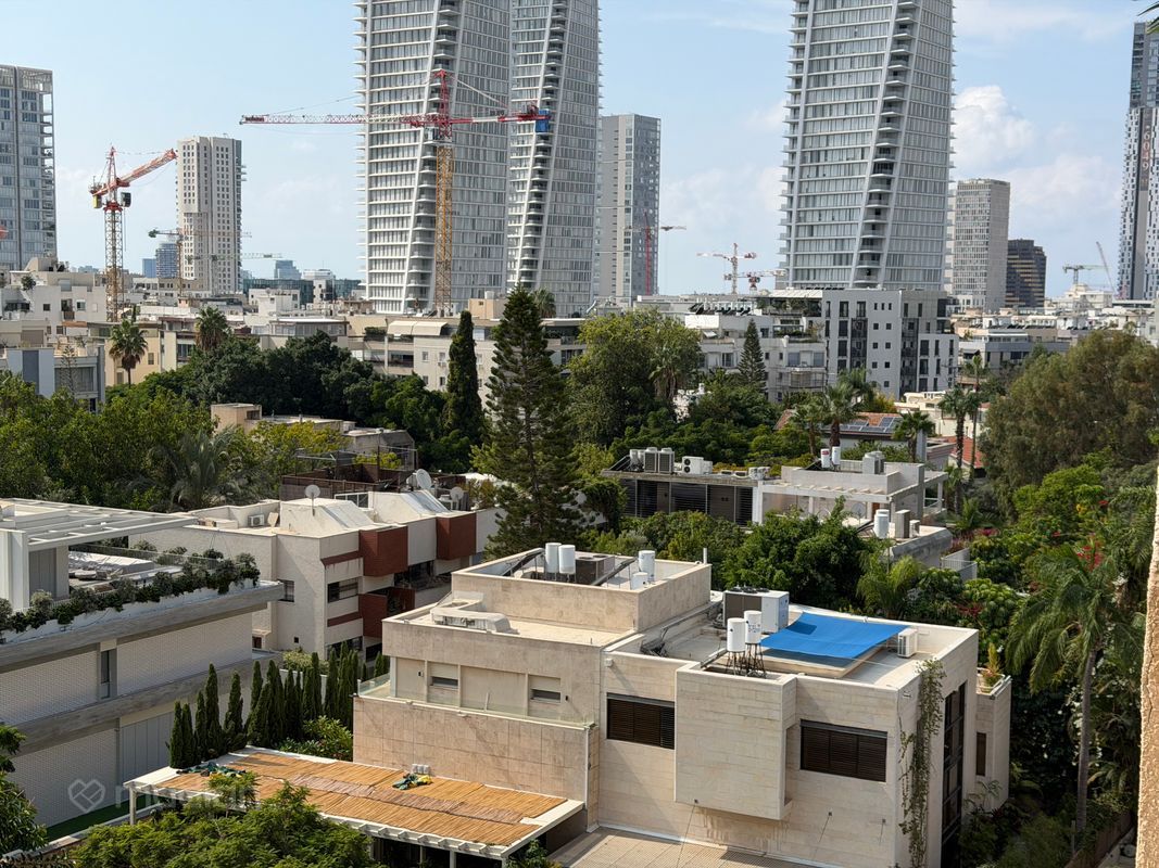 אהבת ציון , הצפון החדש סביבת כיכר המדינה, תל אביב יפו