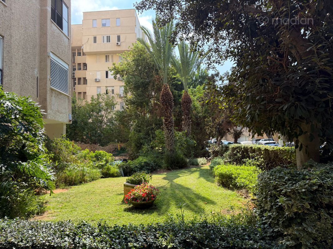 אהבת ציון , הצפון החדש סביבת כיכר המדינה, תל אביב יפו
