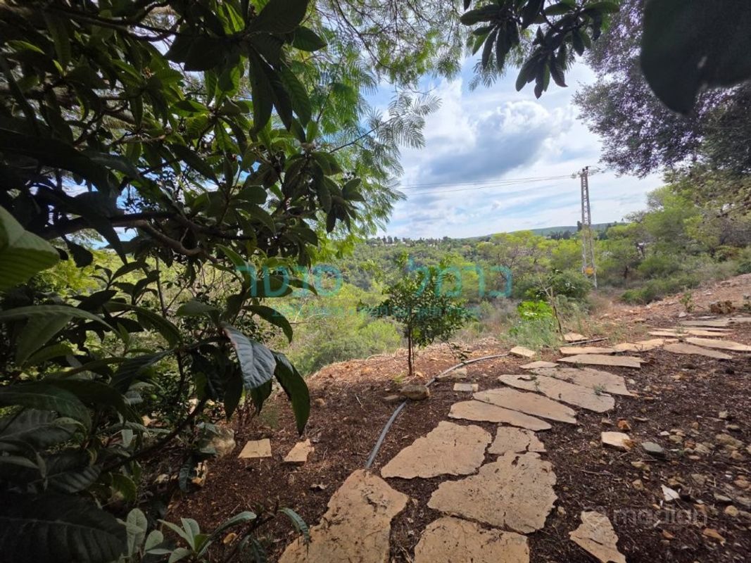 רמת בגין, חיפה