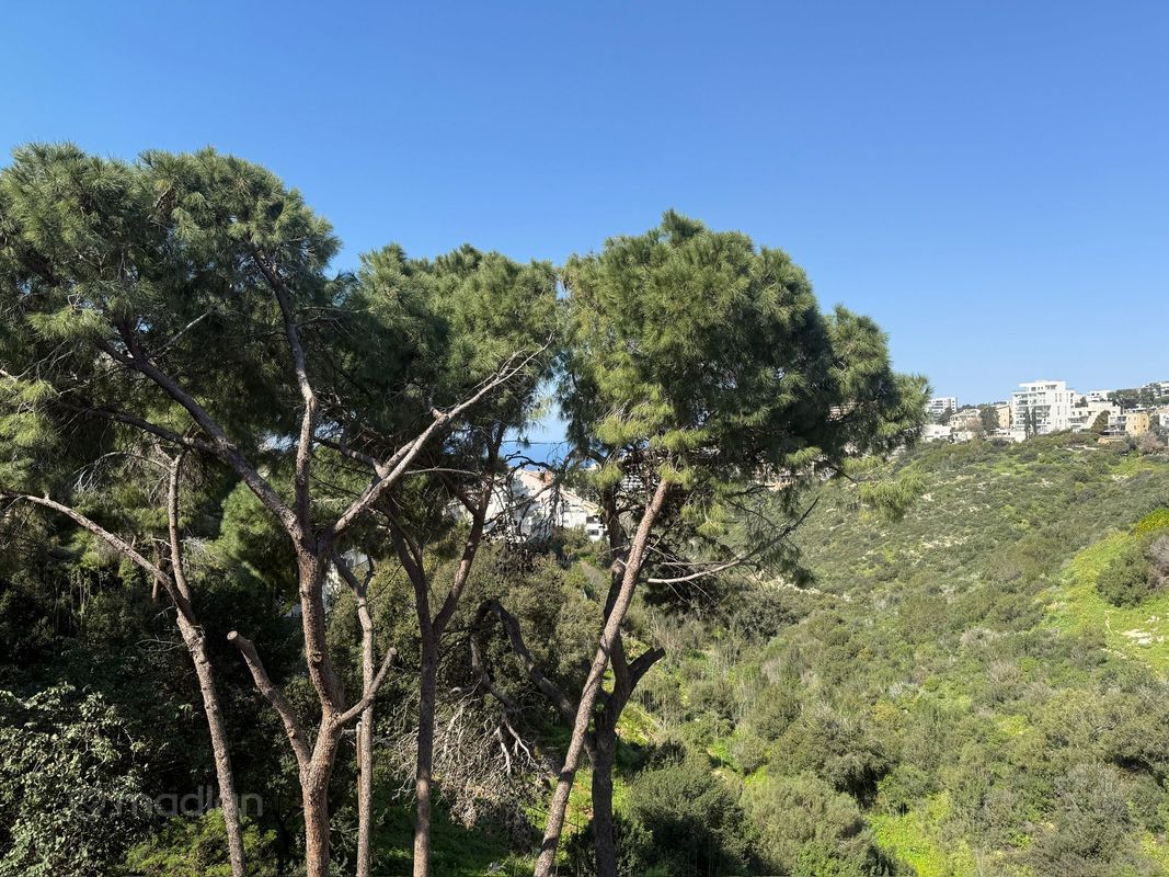 פרויד 38, רמת אשכול, חיפה