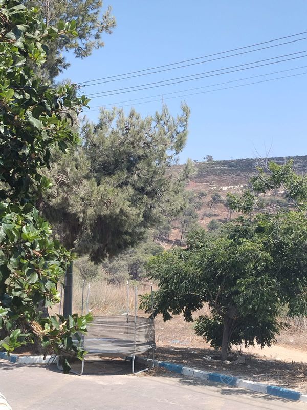 אדמון 63, פינת עדן, נוף הגליל