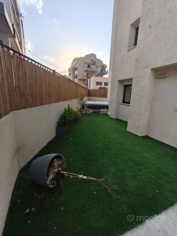 בת גלים, חיפה
