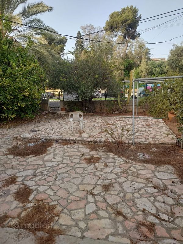 הל"ה , רמת החייל, תל אביב יפו
