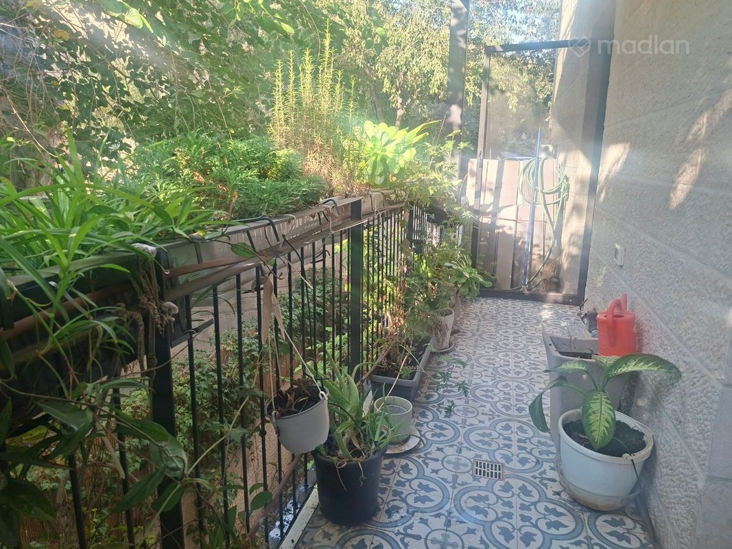 רחל אמנו , המושבה הגרמנית, ירושלים