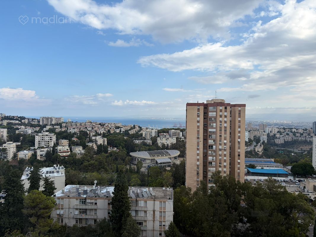 פרחים , רוממה החדשה, חיפה