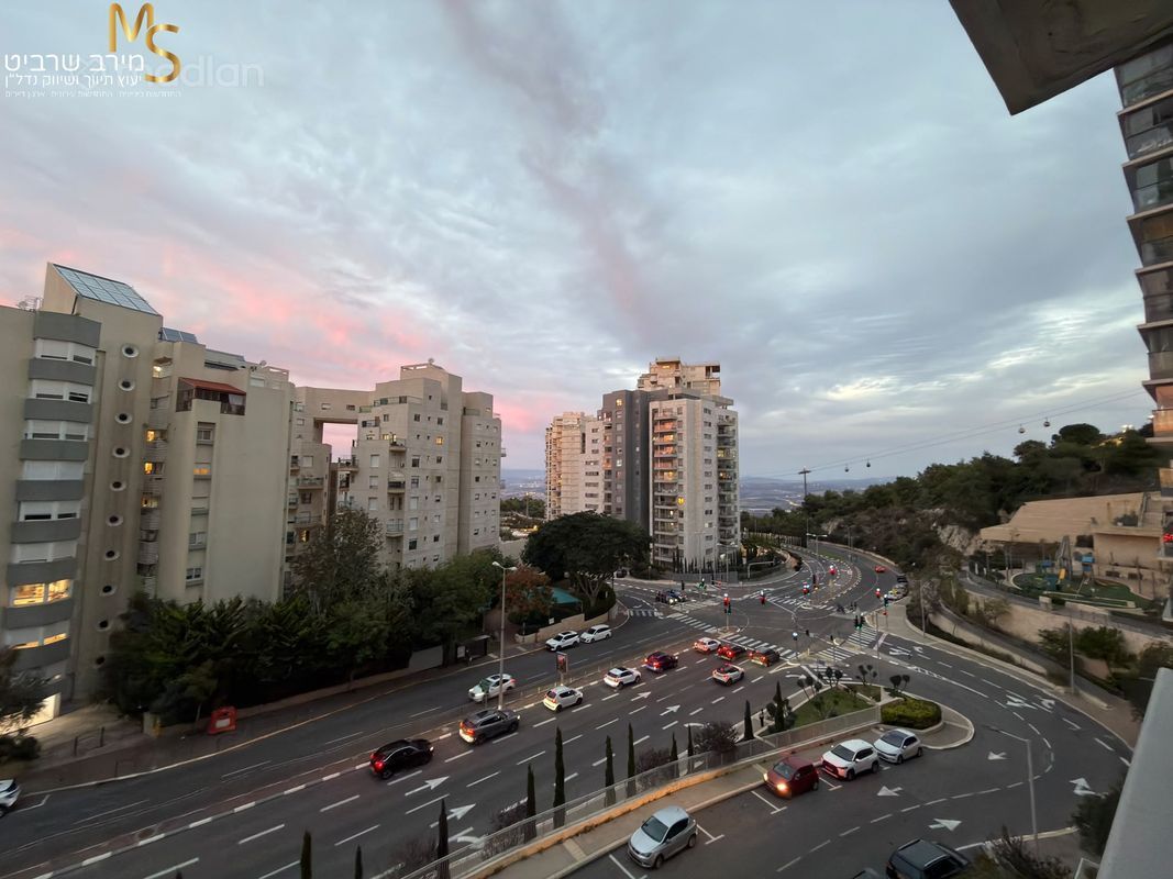אבא חושי , סביוני דניה, חיפה