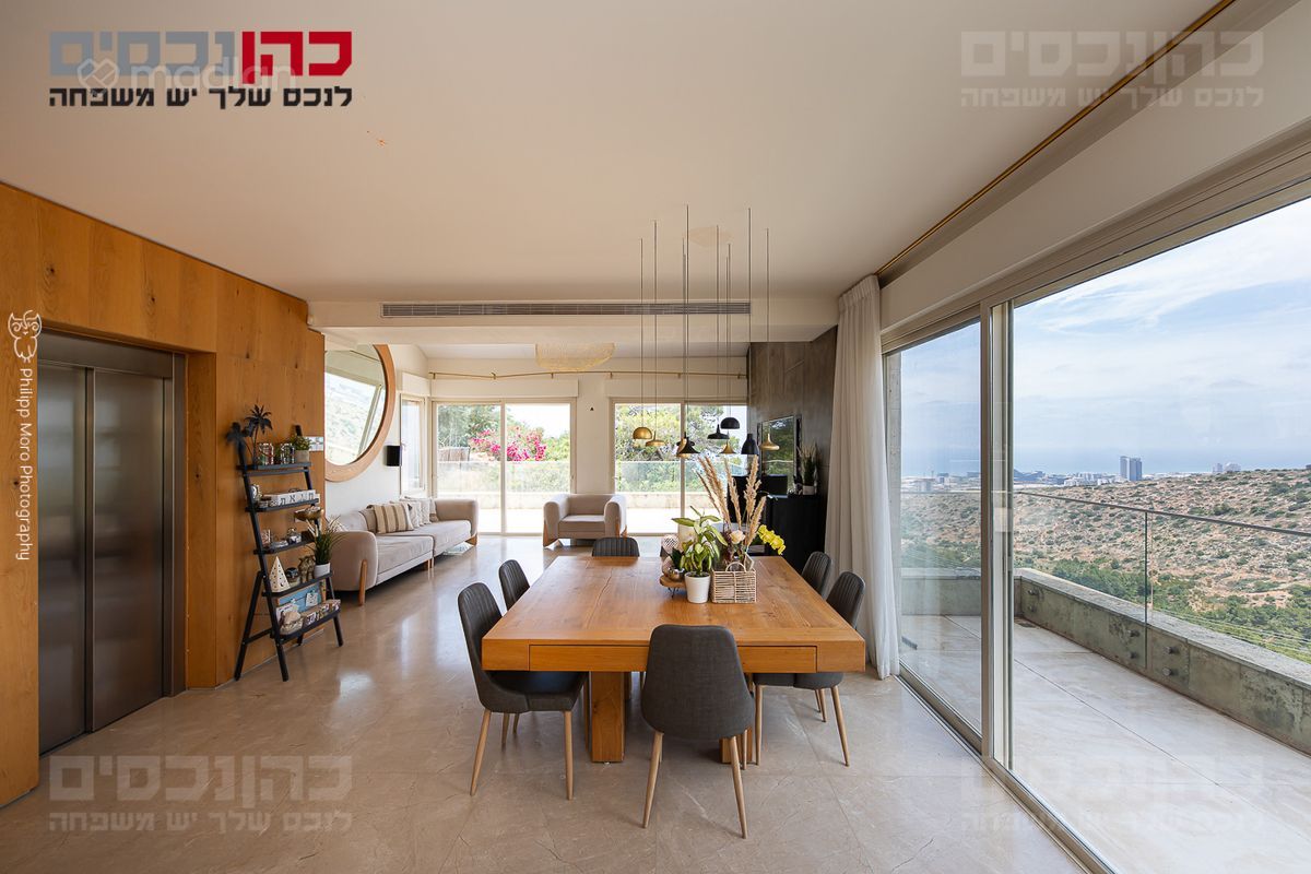 דניה, חיפה