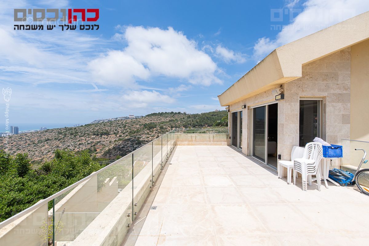 דניה, חיפה