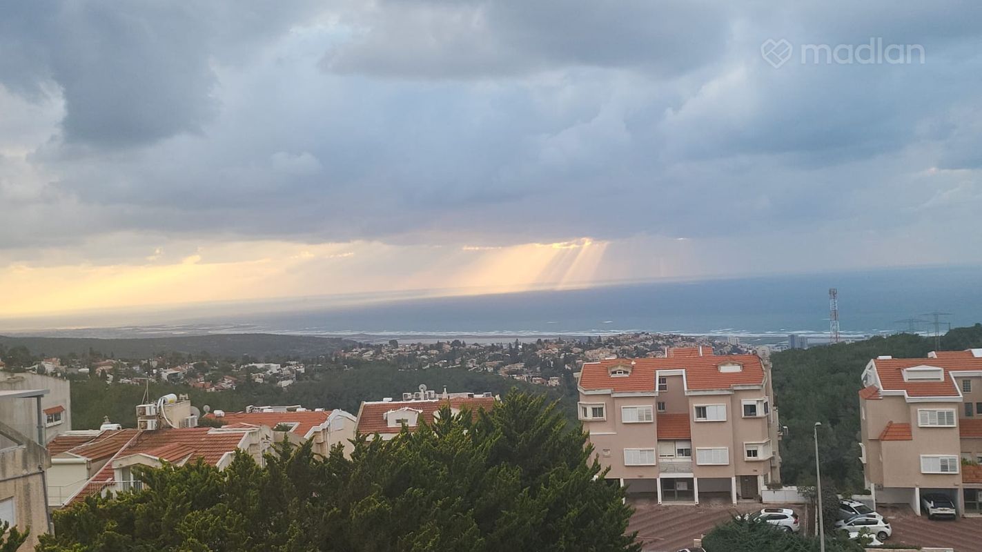 לסקוב 3, רמת גולדה, חיפה