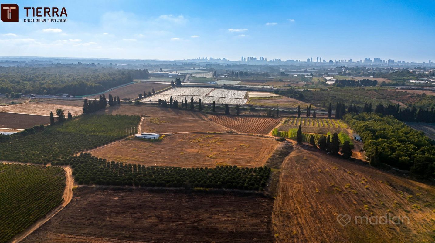 רמת אמיר, קדימה צורן