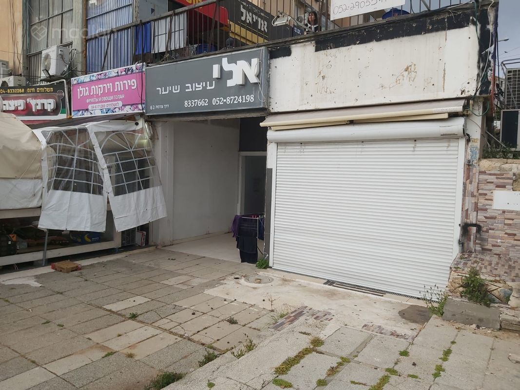 קרית שפרינצק, חיפה