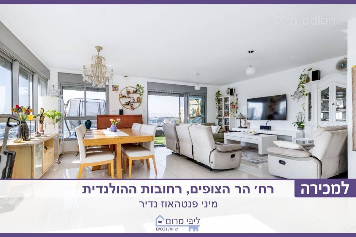 הר הצופים , רחובות ההולנדית, רחובות