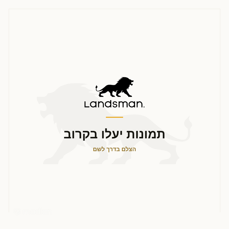 פינסקר 11, צפון מזרח העיר, רחובות
