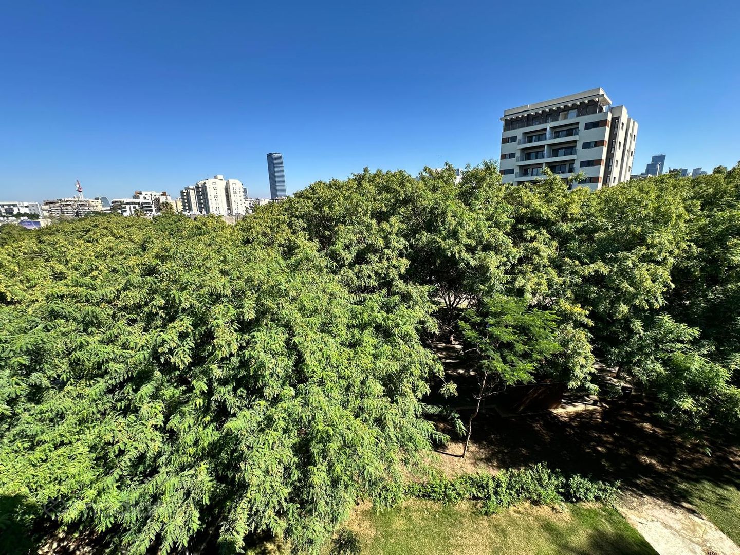 קהילת לודג' 64, הדר יוסף