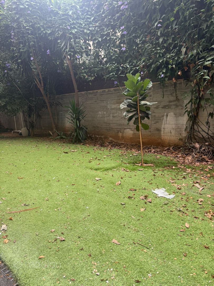 המכבי 9, לב תל אביב החלק המערבי — 2
