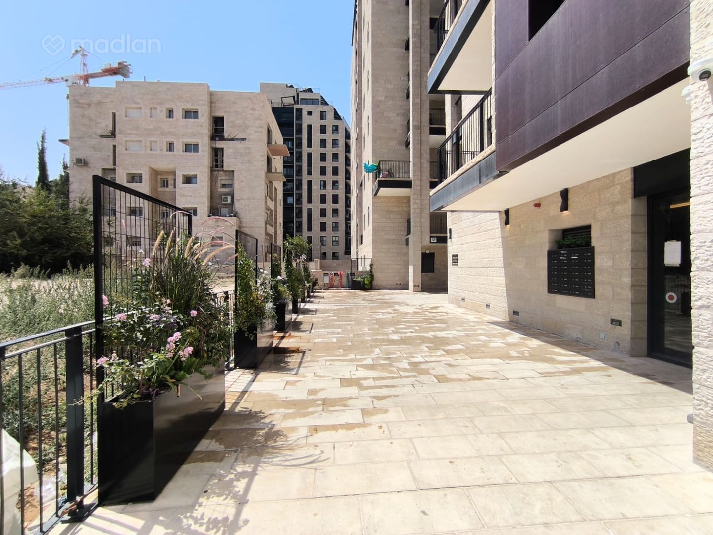 מקור חיים 54, מקור חיים