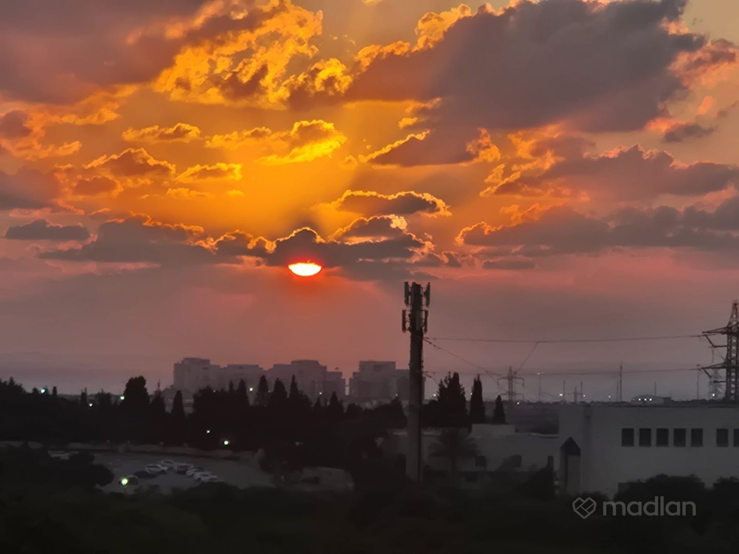 משה וילנסקי 53, המשתלה — 3