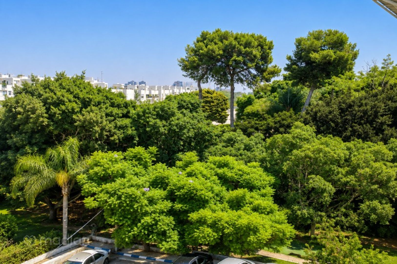 ענתות 38, גני צהלה — 5