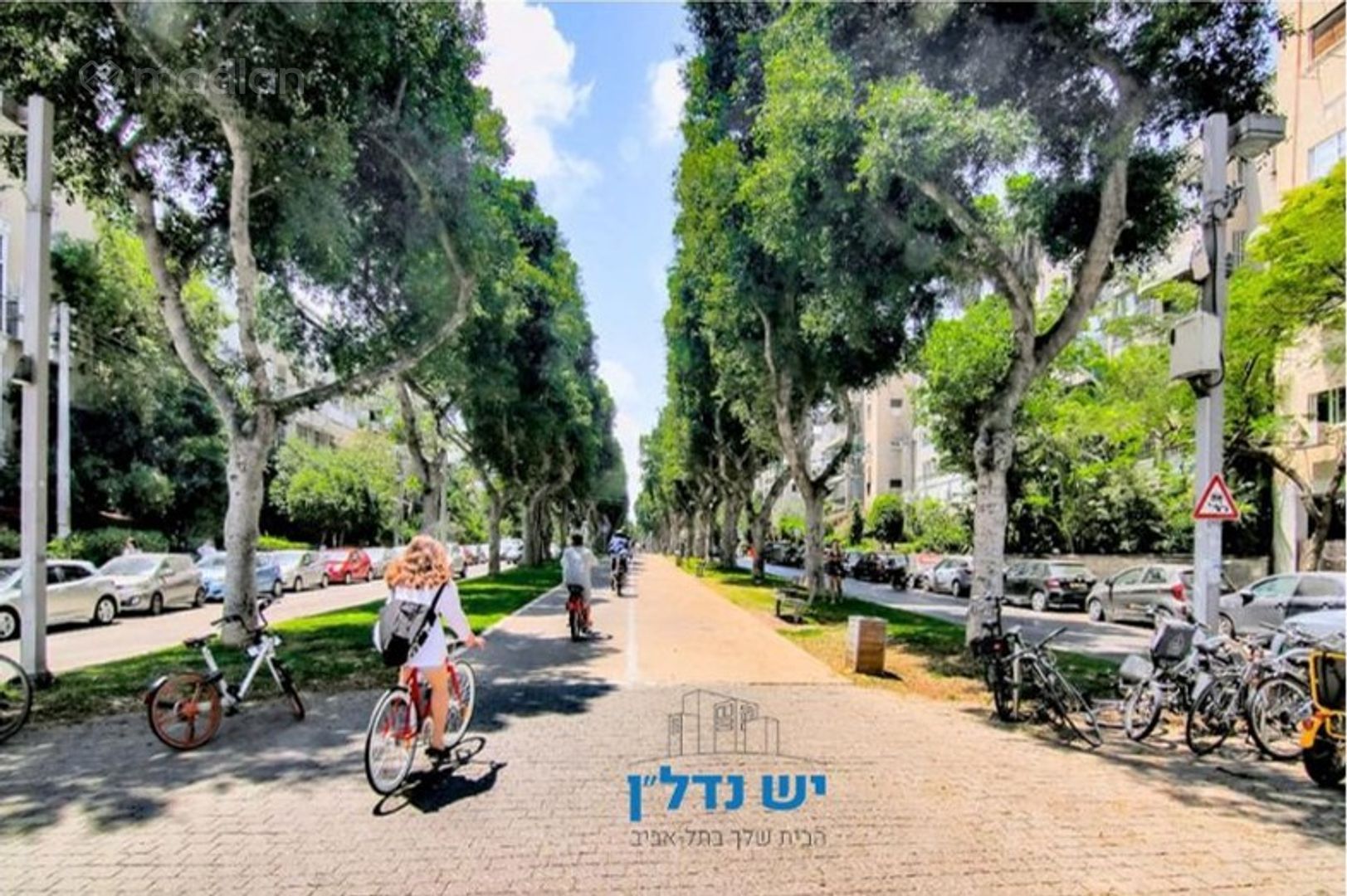 השופטים 52, הצפון החדש החלק הדרומי — 2